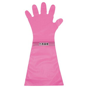 pbN G{X #50 O sN (ܖ{i) 50 L 45 25cm×32cm×4cm  jtH[ No.1245920