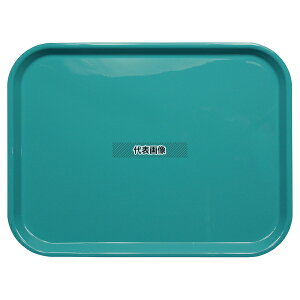 sm NSg[ 39cm ^[RCYu[ 386×292×H17 386×292×H17mm No.1523740