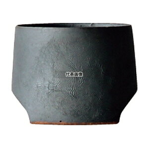 TSUKI ���H�� Cup 45 (������) 75ml �O�a:63 �����ۂ� No.3012700