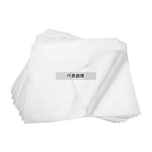 プロマット 吸油シート (10枚入) AMC400110P 500×500 清掃/衛生用品 No.3865200