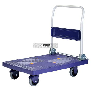 r[J ÃJi300 BJC-300TS 600×900×H875 J[g/ No.3865600