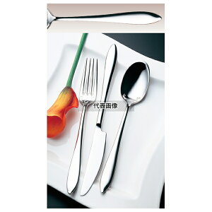 LW 18-10 #19600 F[e o^[Xv[^[ 165 No.4008700