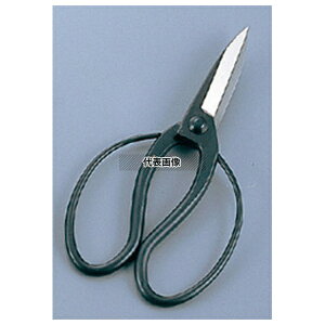 |pnT~ nv 200 nT~ No.4255200