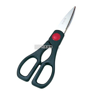 H GNZLb` KB-301 S:204 nT~ No.4660400