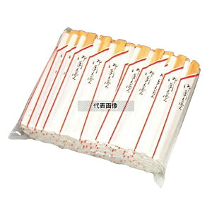 ]  Ԑd Z 100V 165  No.5582610