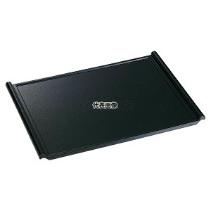 Hʖ~ V^^LNS 2 375×250×H21 ~ No.6223280