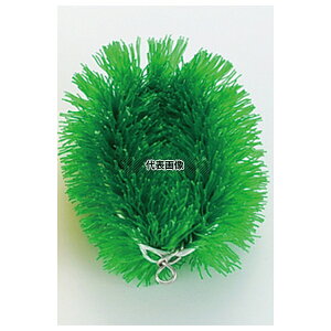 �j���[�J���[���킵 �� (10��) �� 120×95×H45 ���|/�q���p�i No.6437180