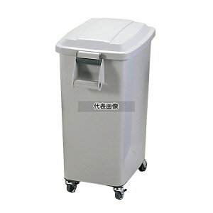 A ~[y[ LX^[t CK-45 O[ (GR) 45L 508×313×H623 |/qpi No.6447100