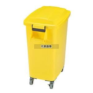 A ~[y[ LX^[t CK-70 CG[ (Y) 70L 572×356×H704 |/qpi No.6449900