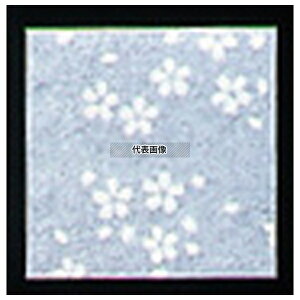 A[ebN NA~ TN (200) CS-120 ua 120×120 opi No.6691400