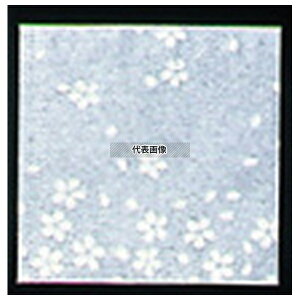 A[ebN NA~ TN (200) CS-150 ua 150×150 opi No.6691500