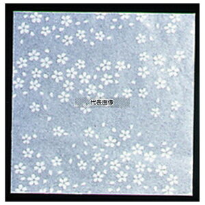 A[ebN NA~ TN (200) CS-200 ua 200×200 opi No.6691600