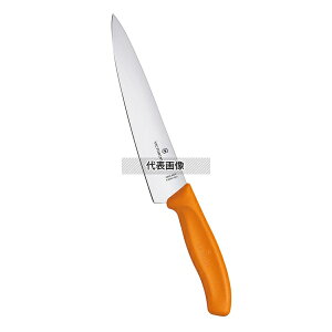 Victorinox rNgmbNX FCVFtiCt 19cm IW 6.8006.19L9E 315  No.6911330