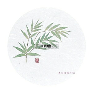 aR[X^[ lG ی^ (50) WCO-M10  95 C/o[pi No.7021300