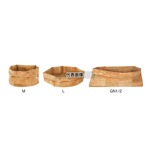 RNoXPbg GN1/1 219611 530×H325 fBXvCpi No.7103500