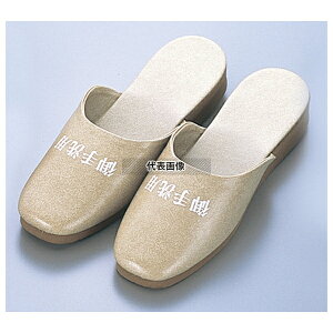 ] Xbp OW L SS-120T () x[W (06) 27cm jtH[ No.7622910