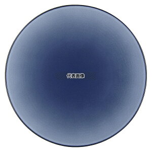 �����H�� �G�L�m�N�X �f�B�i�[�v���[�g 24cm �u���[ 650432 ��240×H30 �a/�m/�� �H�� No.7720040