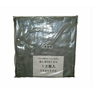 ] X EHbV^I/ڂ #120 (12) O[ 340×340 340×340 |/qpi No.7809460