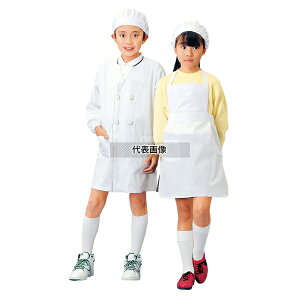 wH߃Gv^ SKV362 3L 80×44×100×50(cm) jtH[ No.8444700