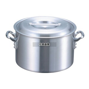 EBM(]) A~ vVFt  (ڐt) 21cm 5.1L 230  No.8870000 | Ɩp ~[pi Ȃ 