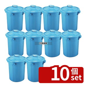 �y10�Z�b�g�zRISU(���X) GK �ی^�|���y�[�� 90�^ �{�� 85L ��520×H610mm ���|/�q���p�i No.1195800