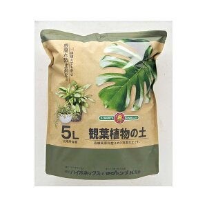  nC|lbNX+}O@vKz ϗtA̓y 5L