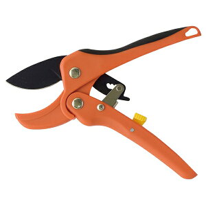 t@~[ECt ͂̂Ȃ`Fbg [|[`t [a15487] t@~