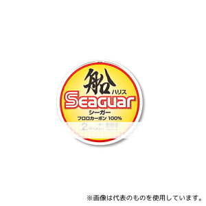 Nn tJ[{ V[K[ DnX 100m 1.75 4901422727246