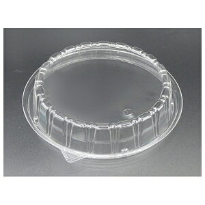 GtsR T-DLV 20M ƍW L OPS  m[e