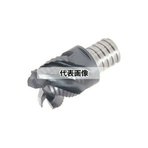 �^���K���C �\���b�h�G���h�~�� VEE-R VEE250L22.0C50R06S15:AH725