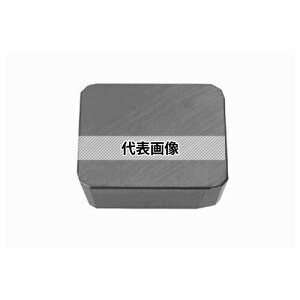 �^���K���C �]��p C.E���C���T�[�g SPCN/SPKN 53S SPCN53STR:UX30×10�Z�b�g