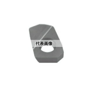 �^���K���C �]��p C.E���C���T�[�g XXGT EP-MJ XXGT07X305EP-MJ:AH730×10�Z�b�g