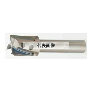 �^���K���C ���tTAC�~�� EPH with slim shank EPH11R010M06.0-2