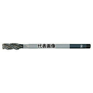 �I�[�G�X�W�[(OSG) �X�p�C�����^�b�v �z������ �����O�V�����N EX-LT-H-SFT EX-LT-H-SFT HSE ST