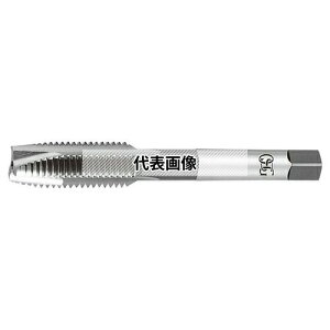 �I�[�G�X�W�[(OSG) �|�C���g�^�b�v EX-POT EX-POT HSE STD SM11/64-40 (17907)