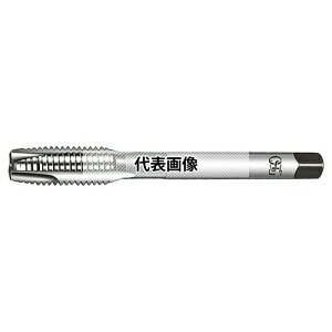 �I�[�G�X�W�[(OSG) �|�C���g�^�b�v ���ޗp CPM-POT CPM-POT 5P STD M12X1.25 (22174)