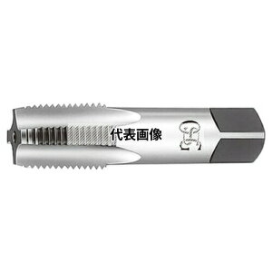 �I�[�G�X�W�[(OSG) �Ǘp�e�[�p�[�^�b�v ��ʗp �Z�˂��` S-TPT S-TPT H 2 PT1/16-28 (23640)