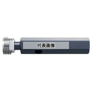 �I�[�G�X�W�[(OSG) �Ǘp�e�[�p�˂��v���O�Q�[�W TG P TG P 1/2-14NPT (38741)