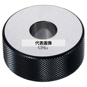 �I�[�G�X�W�[(OSG) ��Q�[�W�i�}�X�^�[�Q�[�W�j RG-M RG-M +-0.001 13 (9339026)
