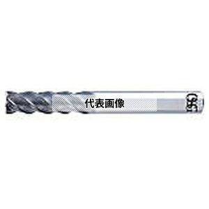 I[GXW[(OSG) dhU^Gh~ AE-VML AE-VML 10X40 (8556332)