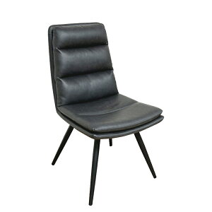 㓡ƋY _CjO`FA[ DC-BF-BK otB[ PUn ] ubNF 2r BKF X`[r | 2rg ubN 2r 46cm Vv