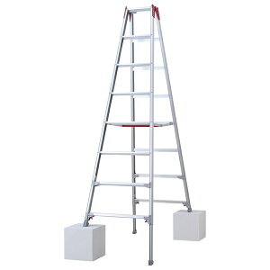 ���J��H�� �A���~����p�r�� �r���L�k��(�A�W���X�^�[) RYZ-24d [�@�l����][�����ʓr�����ς�]