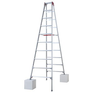 JH A~pr rLk(AWX^[) RYZ-30d [@l][ʓrς]