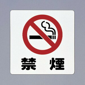  TC 300mm×300mm×1mm AP.P(|vs) ʃe[v(PH3030-10)