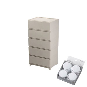 2025V Iׂ40 [ LX^[t { ^X `FXg 3i 4i 5i X Ch y݌ɗLz| ߑP[X [P[X [`FXg [{bNX O[W o o fR