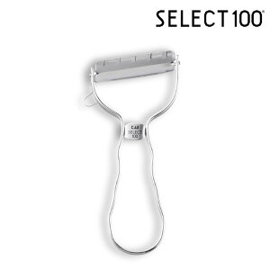 L DH3000 ZNg100 T^s[[ y݌ɗLz| s[[ ނ XCT[ L T^ s[[ XeX Lxc  킢 SELECT100 ZNg100 T^s[[ DH3000 kai ސEj M
