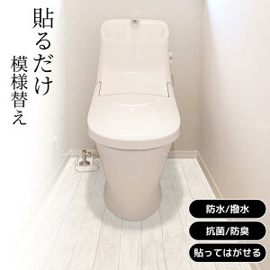 2025Vi TBKT-01 gC͗lւV[g 90cm×170cm y݌ɗLz| gC h R L ȒP ͗lւ gC}bg @ gC h~  CNV[g mx[V V[g t