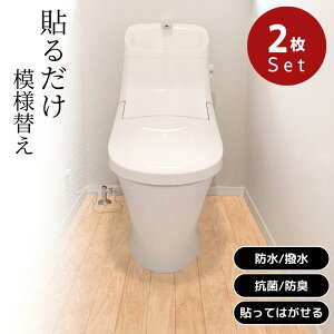 2025Vi TDS-1823 gC͗lւV[g 90cm×170cm 2gZbg y݌ɗLz| gC h R L ȒP ͗lւ gC}bg @ gC h~  CNV[g mx[V