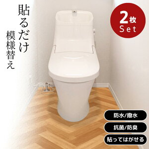 2025Vi TDS-1823 gC͗lւV[g 90cm×170cm 2gZbg y݌ɗLz| gC h R L ȒP ͗lւ gC}bg @ gC h~  CNV[g mx[V