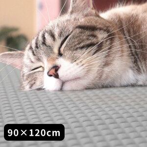 3size { ybg  h}bg 45×60cm 60×90cm 90×120cm | ybgp }bg ԊO ۉ ybg}bg h dsv p Lp zbg}bg ΍ h ȒP ~